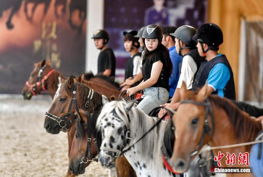 （追风逐日看新疆）新疆阿勒泰依托资源优势加快马产业融合发展